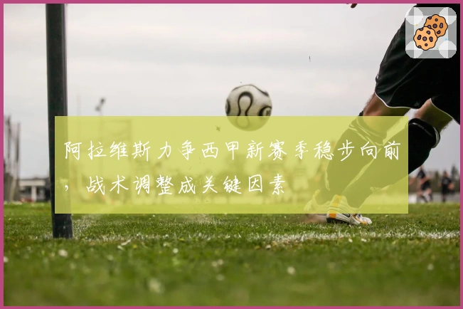 阿拉维斯力争西甲新赛季稳步向前，战术调整成关键因素