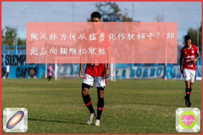 陶汉林为何从猛兽化作软柿子？邱彪应向鞠维松取经