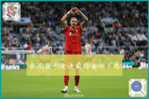 乒乓国手全速前行奋斗不息